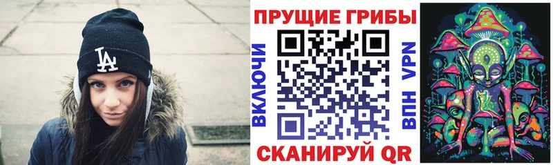 Галлюциногенные грибы Psilocybe Чегем